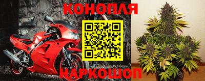 молекула духа Ставрополь