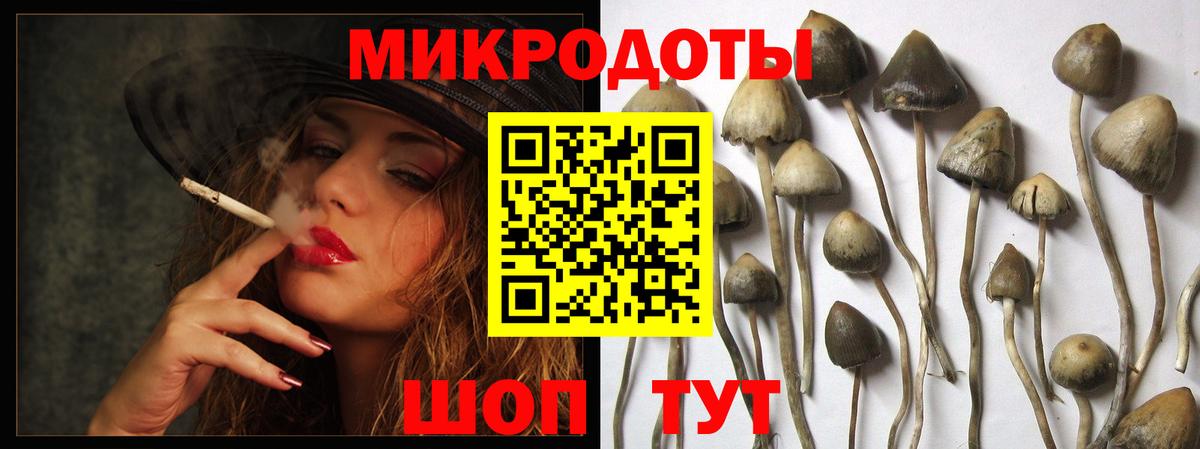 Псилоцибиновые грибы мухоморы Чистополь