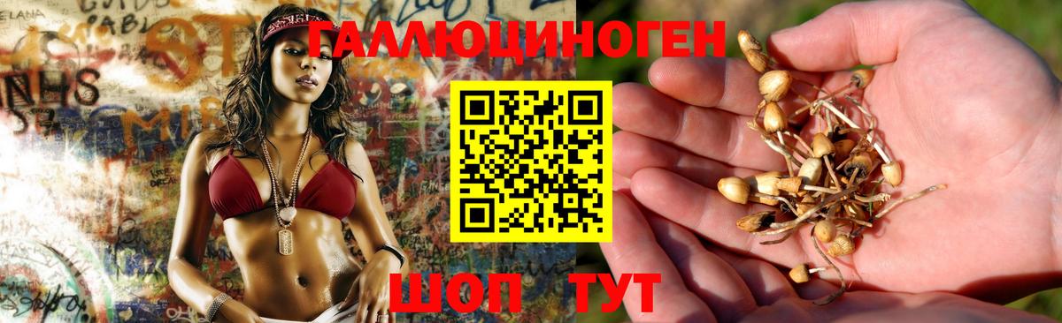 Чистополь  Галлюциногенные грибы GOLDEN TEACHER  Галлюциногенные грибы прущие грибы  Вход с VPN 